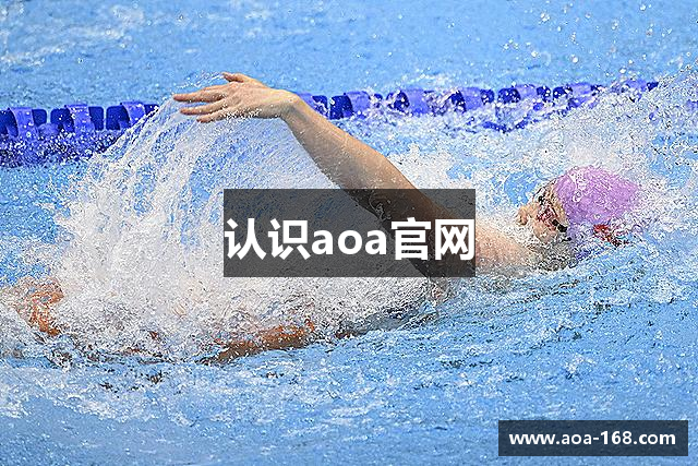 认识aoa官网